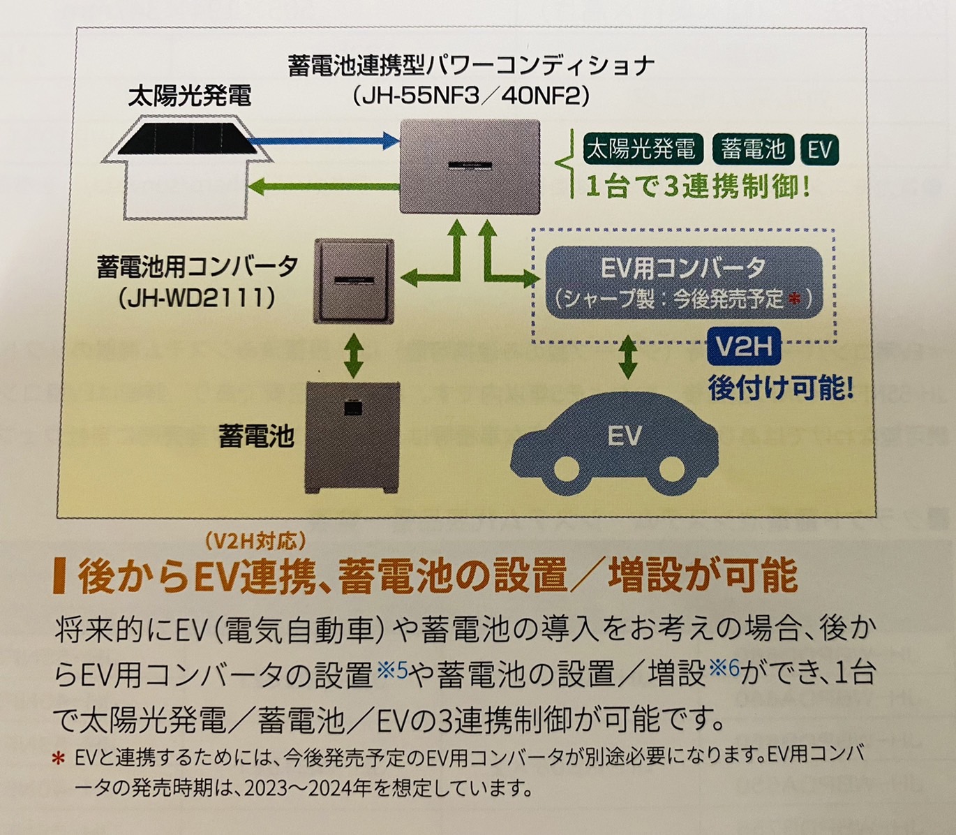 あいのり桃 子供 年齢